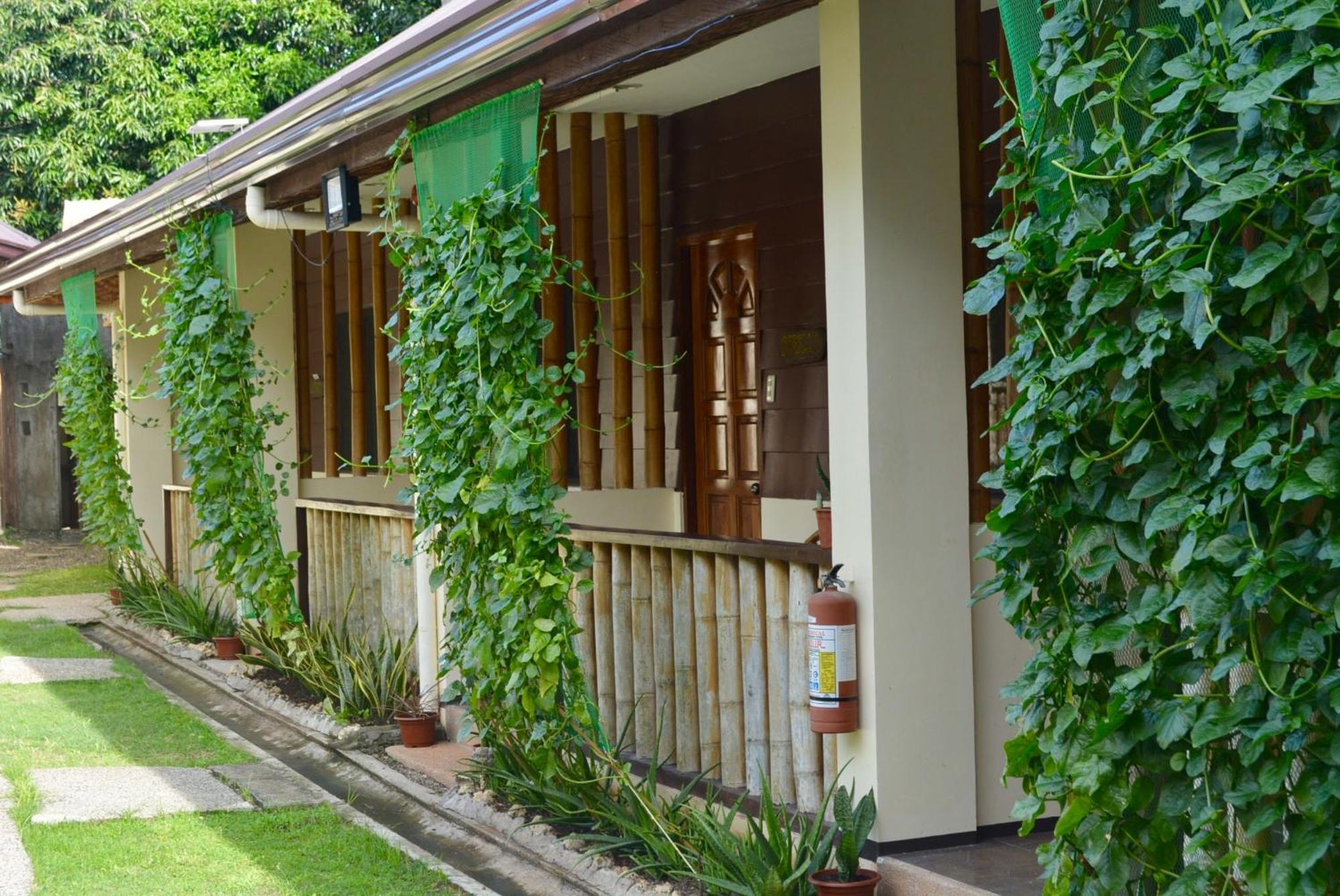 Chiisai Natsu Resort Bolod  ภายนอก รูปภาพ